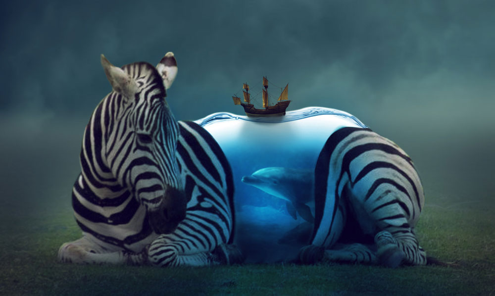zebra